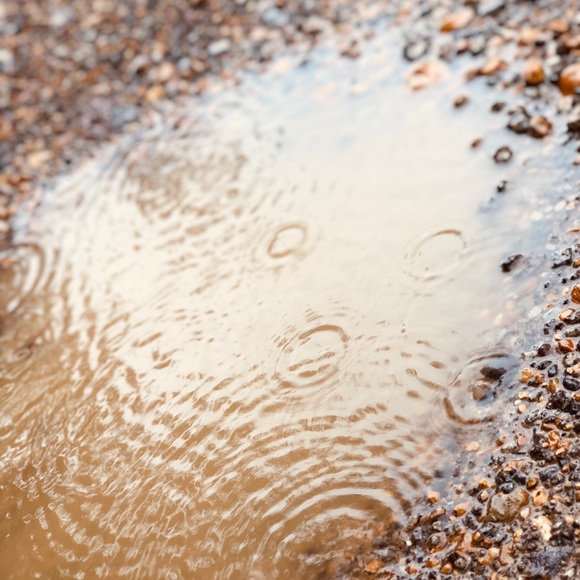 Meet your Posher, Alanna - Picture 1 of 1